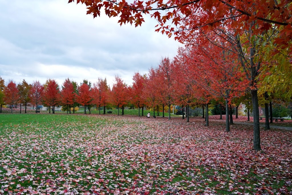 South Unionville Stormwater Management Park | Unnamed Road, Unionville, ON L3R 4S2, Canada