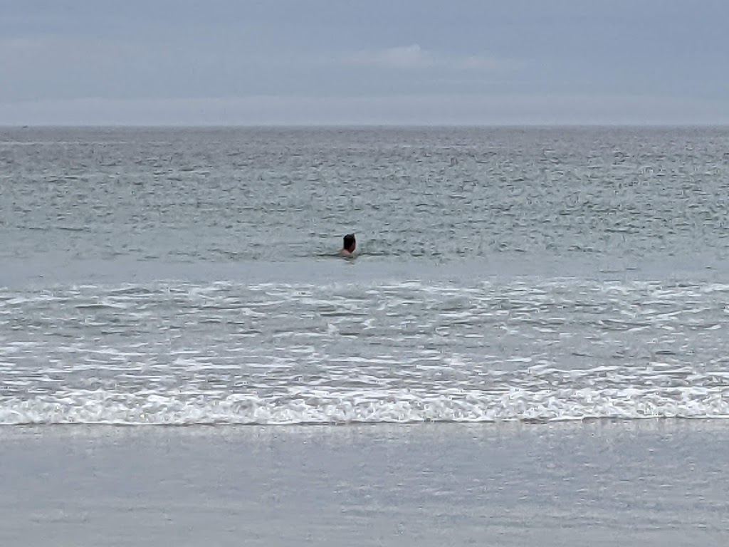 Stoney Island Beach | Kenny Rd, Clarks Harbour, NS B0W 1P0, Canada | Phone: (902) 903-0494