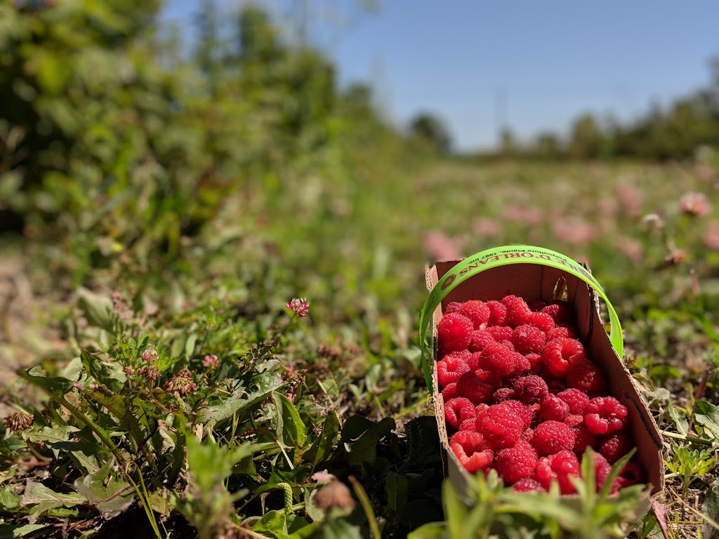 Jardins Provost | 124-326 Chemin du Petit-Bois, Varennes, QC J3X 1P7, Canada