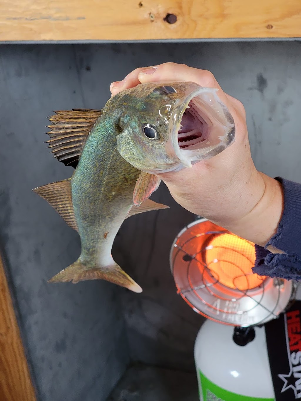 Lake Winnipeg Ice Fishing Shack Rentals | Balsam Bay, MB R0E 0B0, Canada | Phone: (204) 406-5586