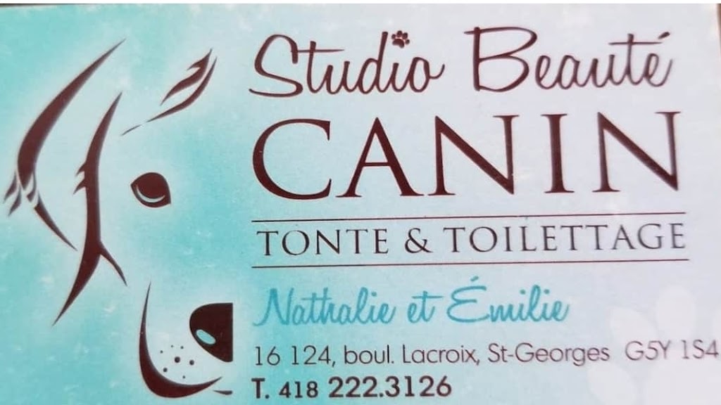 studio beauté canin | 16120 Bd Lacroix, Saint-Georges, QC G5Y 1S4, Canada | Phone: (418) 222-3126