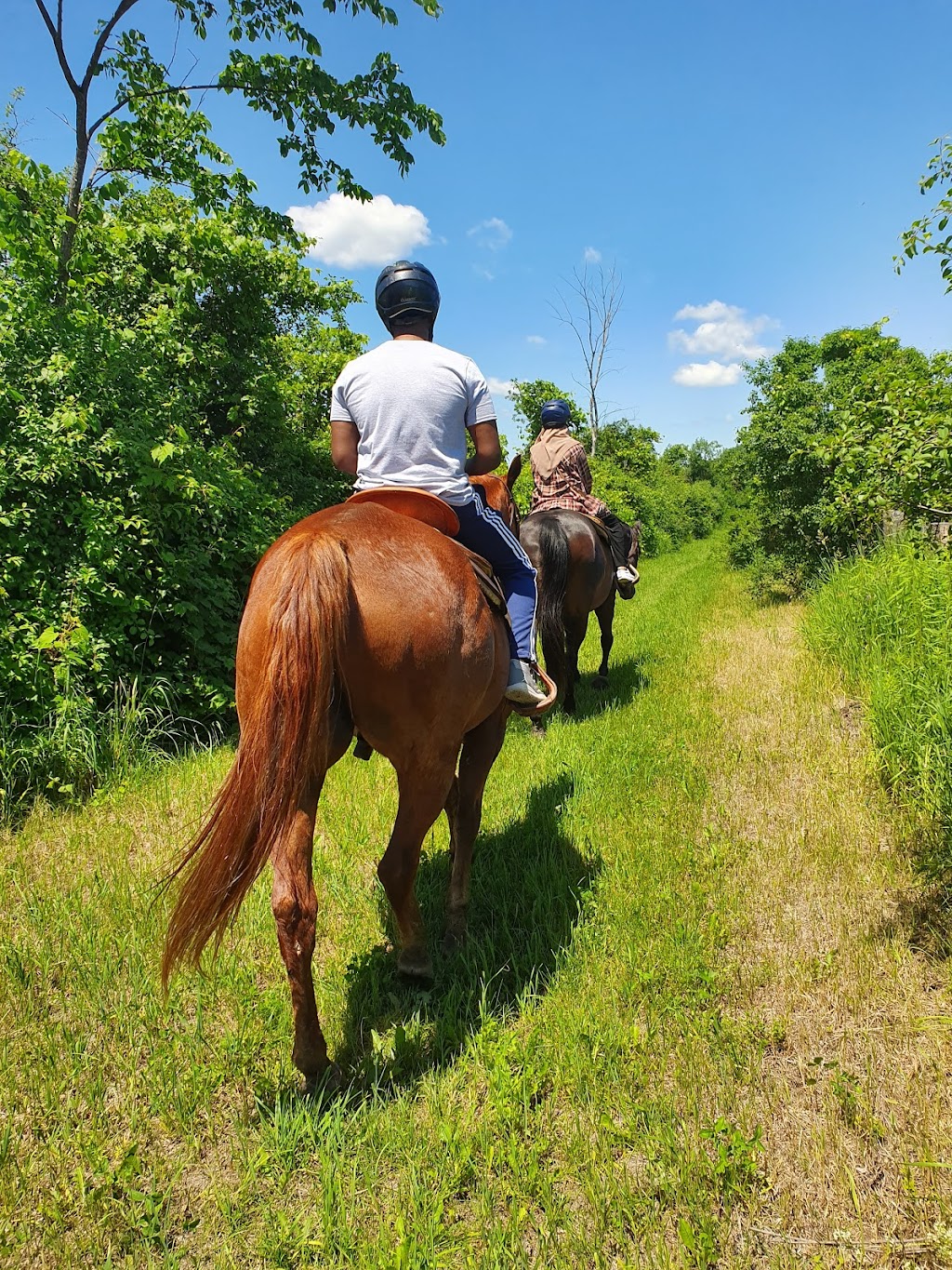 Heritage Stables | 620 Heritage Dr, Merrickville, ON K0G 1N0, Canada | Phone: (613) 229-0759