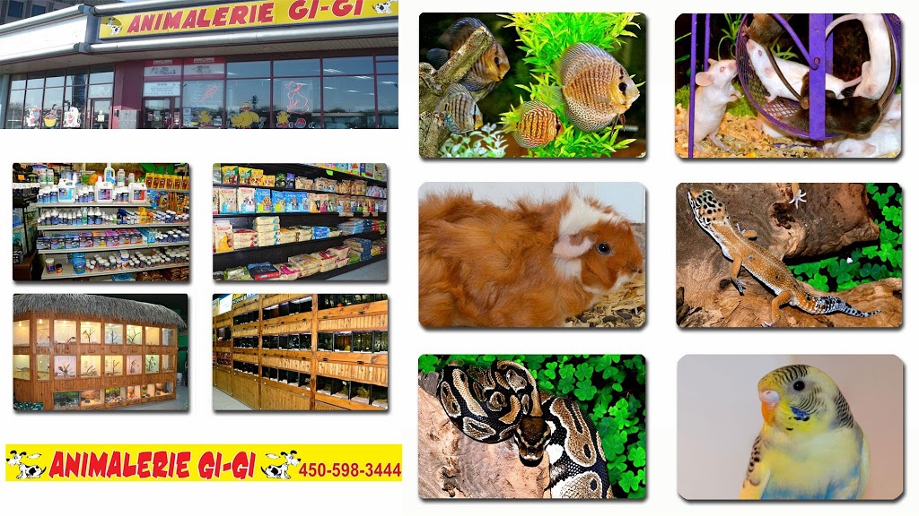 Animal Shop Animal GIGI | 356 Boulevard Arthur-Sauvé, Saint-Eustache, QC J7R 2J3, Canada | Phone: (450) 598-3444