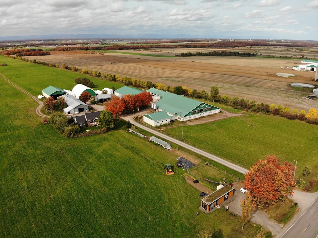 Ferme Caprijol Inc. | 184 1er Rang O, Saint-Gervais, QC G0R 3C0, Canada | Phone: (418) 887-6799