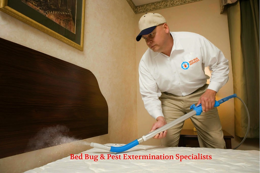 Bed Bug Services | 117 Hardale Crescent, Hamilton, ON L8T 1Y2, Canada | Phone: (289) 799-3161