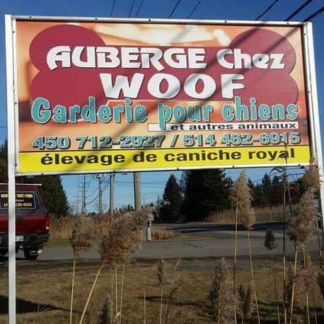 auberge chez Woof | 2690 QC-158, Sainte-Sophie, QC J5J 2V3, Canada | Phone: (450) 712-2927