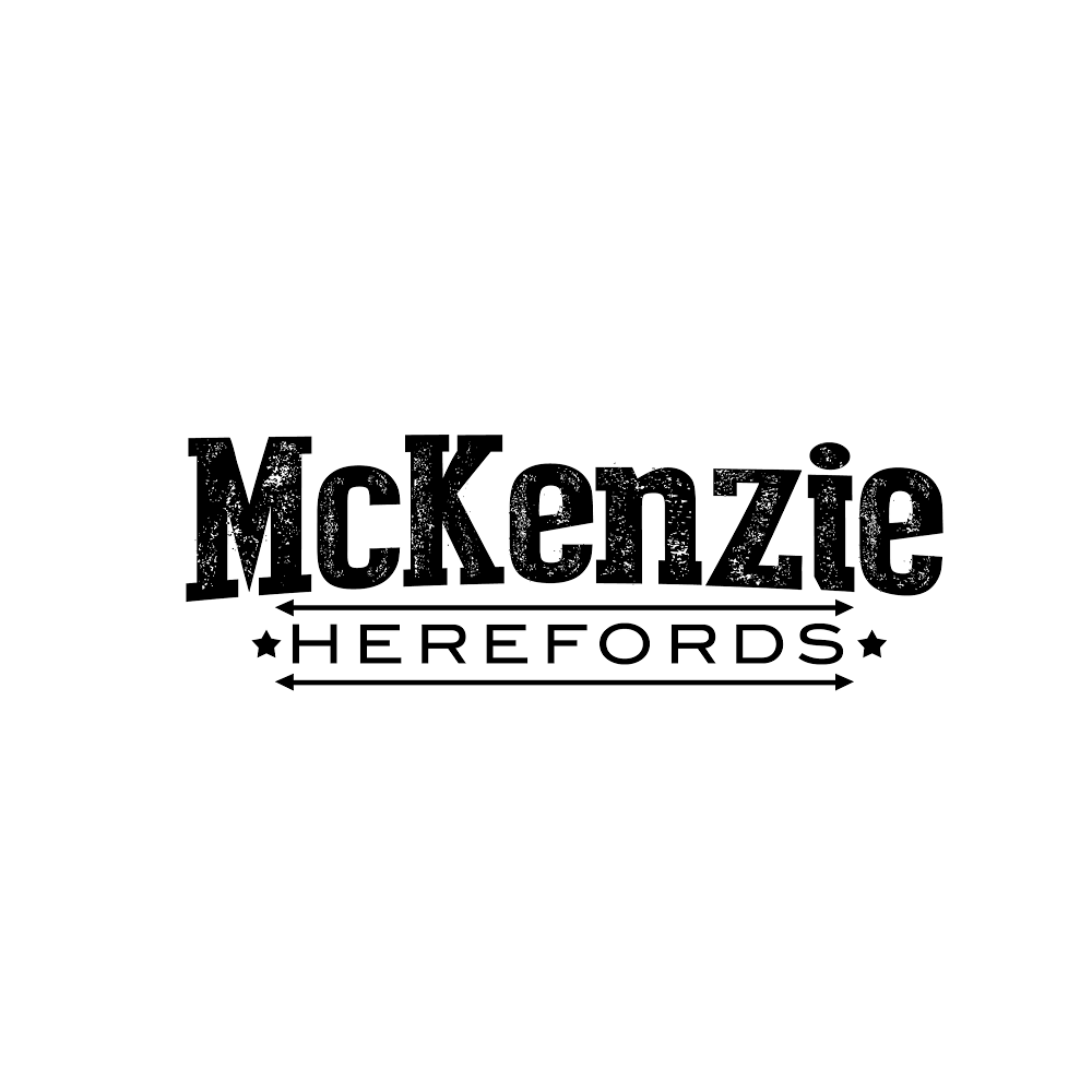 McKenzie Hereford Farms Ltd | Warner, AB T0K 2L0, Canada | Phone: (403) 642-2455