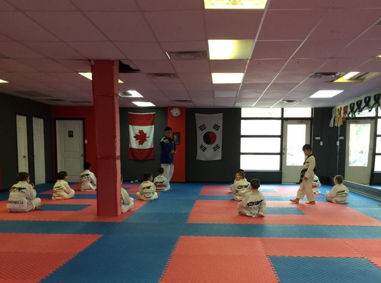 Black Belt World | 2765 Lake Shore Blvd W, Etobicoke, ON M8V 1C6, Canada | Phone: (416) 253-9113