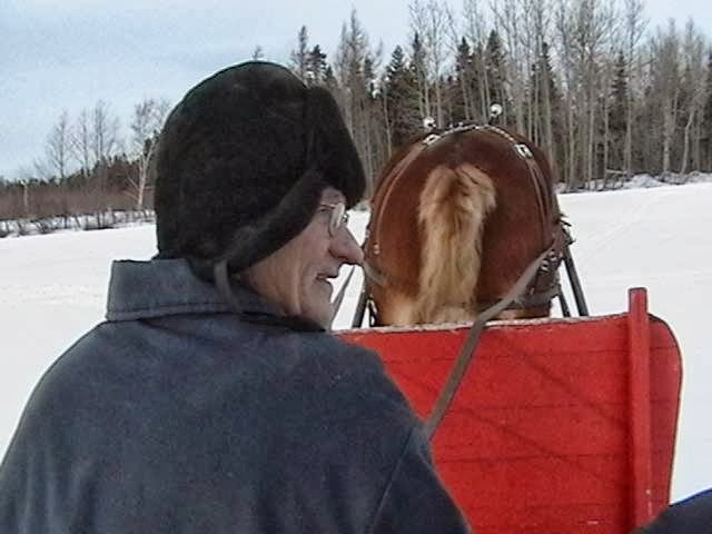 Les Écuries de la Seigneurie | 173 Chem. de la Seigneurie, Saint-Arsène, QC G0L 2K0, Canada | Phone: (418) 863-4715