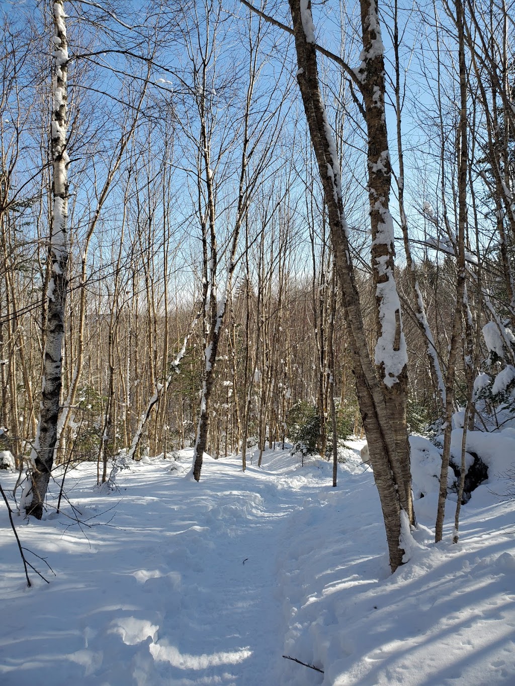 Sugar Moon Farm | 221 Alex MacDonald Rd, Tatamagouche, NS B0K 1V0, Canada | Phone: (902) 657-3348