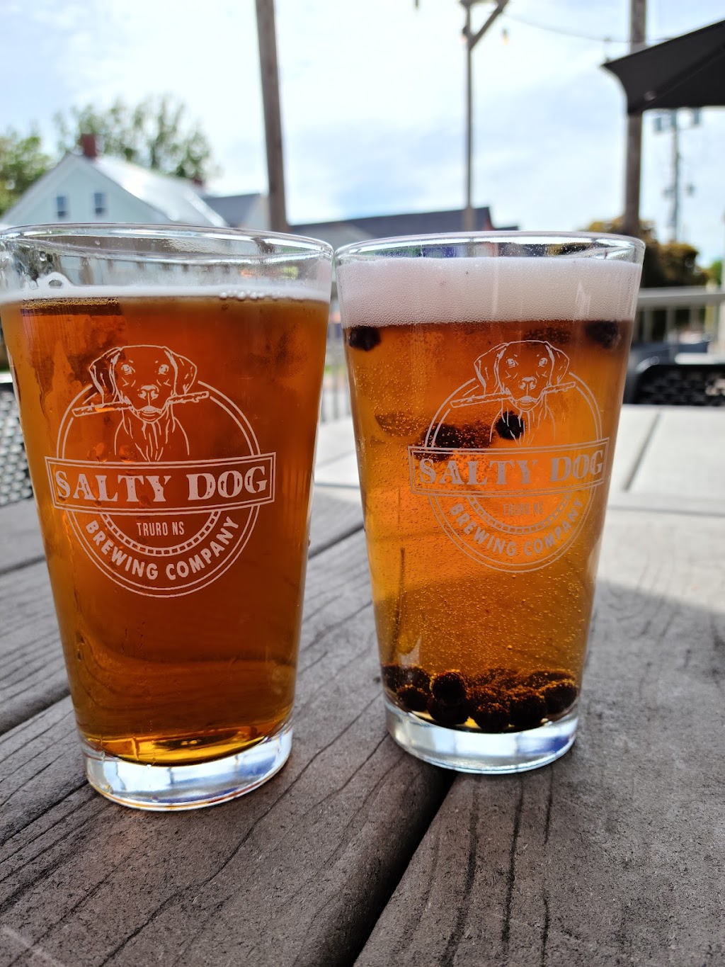 Salty Dog Brewing Company | 615 Prince St, Truro, NS B2N 1G2, Canada | Phone: (902) 895-2386