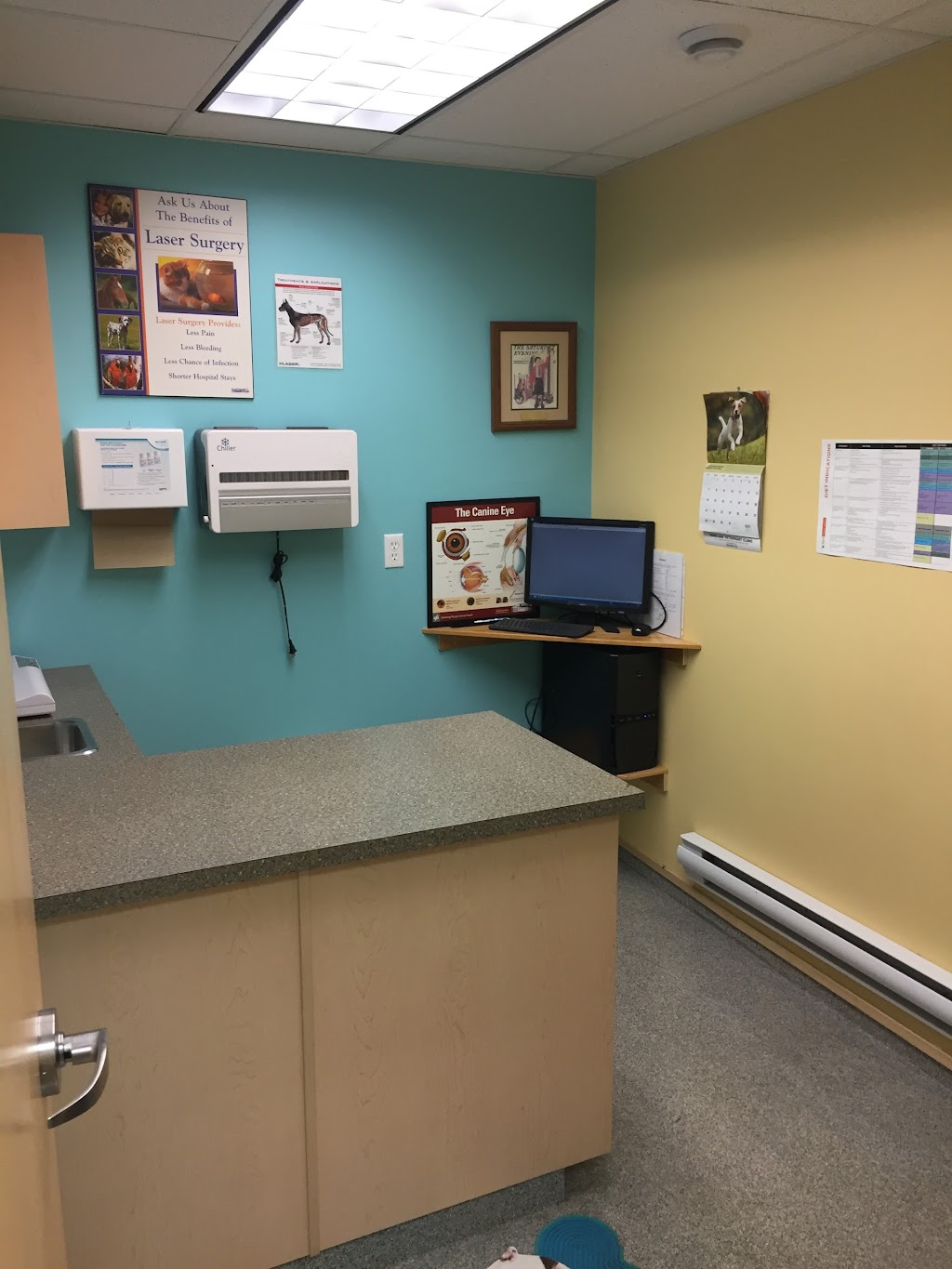 Parkland Veterinary Hospital Ltd | 4 Cuendet Ind. Wy #101, Sylvan Lake, AB T4S 2J7, Canada | Phone: (403) 864-6402