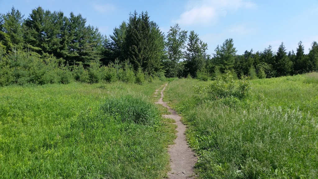 Harmony Valley Conservation Area & Off-Leash Dog Park | 915 Grandview St N, Oshawa, ON L1K 2J9, Canada | Phone: (905) 436-3311