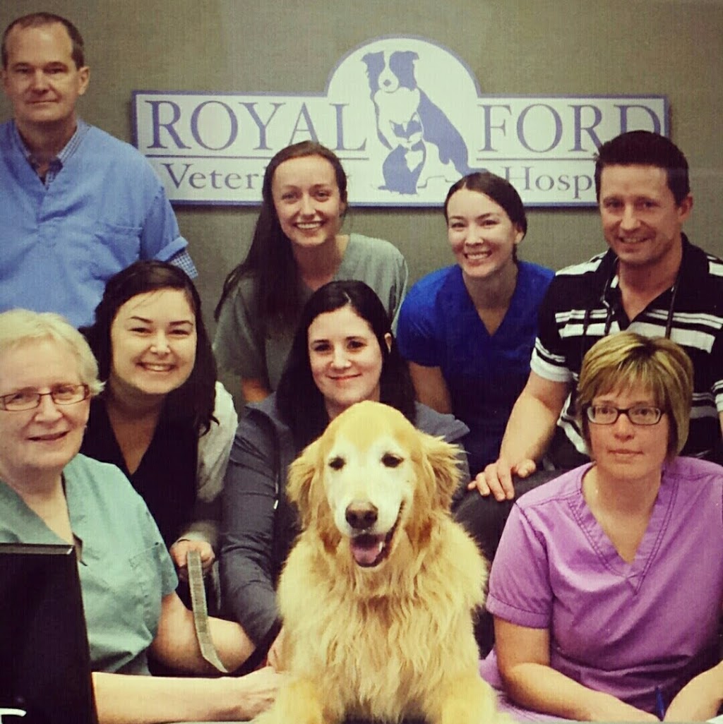 Royal Ford Veterinary Hospital | 610 Ford Dr, Oakville, ON L6J 7V7, Canada | Phone: (905) 337-1880