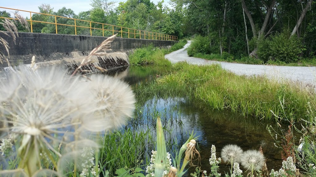 Forbert Memorial Pool | 16 River Park Dr, Bobcaygeon, ON K0M 1A0, Canada | Phone: (705) 738-5858