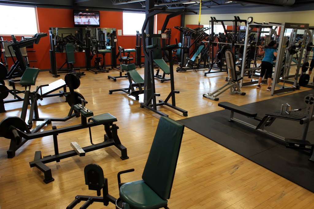 Cité Sportive | 345 Rue Aubert, Pintendre, QC G6C 1K7, Canada | Phone: (418) 833-7884