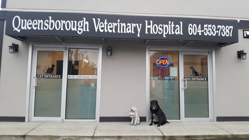 Queensborough Veterinary Hospital | #170-1110 Ewen Avenue (Located Around Back Of Queens Hotel - Enter Off, Jardine St, New Westminster, BC V3M 5E4, Canada | Phone: (604) 553-7387