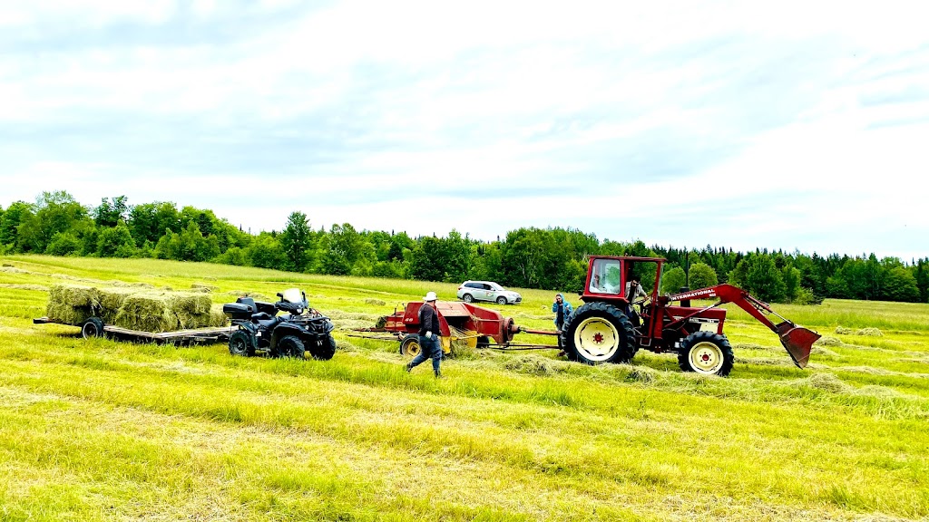 La Ferme Flanc Sud | 60 Rang Saint-Jean-Baptiste, Saint-Fabien-de-Panet, QC G0R 2J0, Canada | Phone: (418) 408-0084