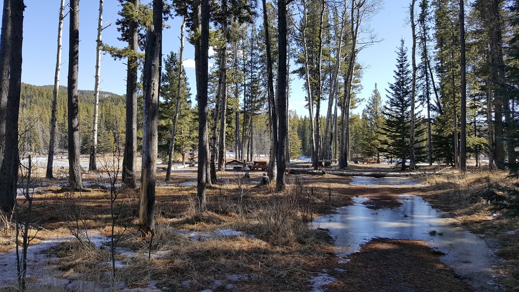 McLean Pond Day Use Area | 285 McLean Creek Trail, Bragg Creek, AB T0L 0K0, Canada