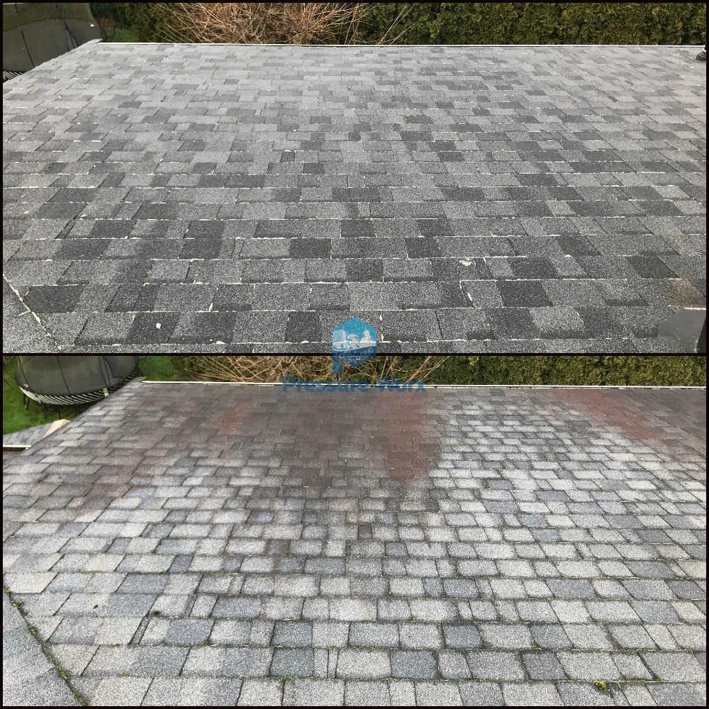 Pressure-Worx Power Washing | 19270 119 Ave #3, Pitt Meadows, BC V3Y 2J8, Canada | Phone: (604) 306-7726