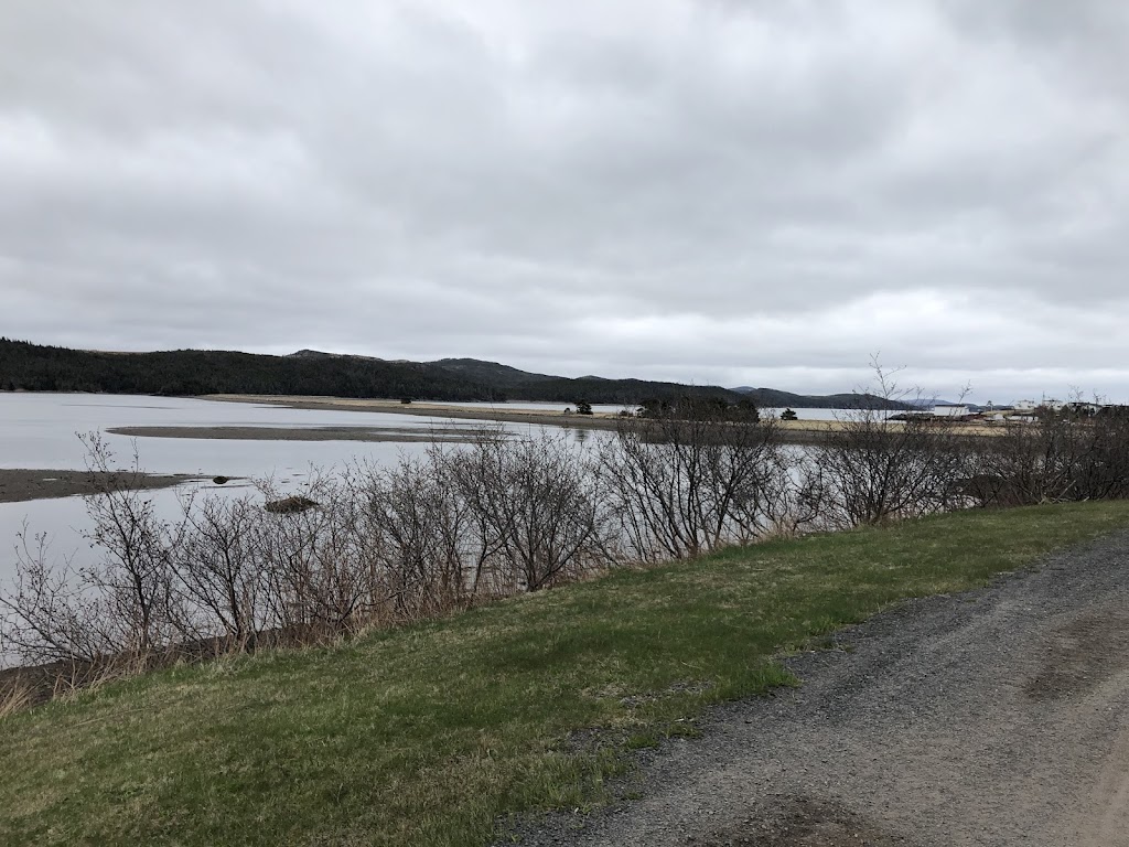 Arnold’s Cove Bird Sanctuary | Main Rd, Arnolds Cove, NL A0B 1A0, Canada | Phone: (709) 463-2323