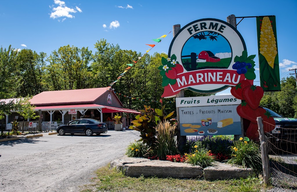 Ferme Marineau | 4356 Bd Dagenais O, Laval, QC H7R 1L5, Canada | Phone: (450) 689-9792