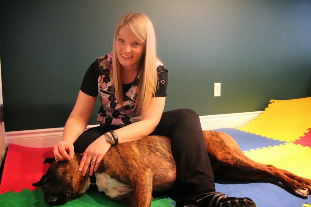 CanineTech Rehab | 1601 River Rd E #30a, Kitchener, ON N2A 3Y4, Canada | Phone: (519) 954-6000