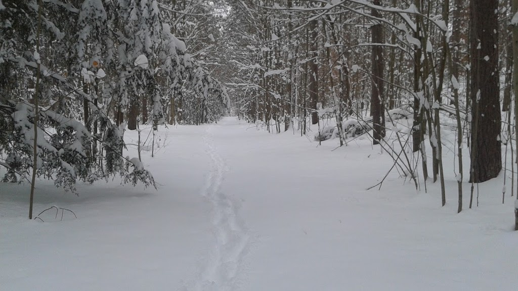 simcoe county forests Patterson tract | Orangeville Caledon Townline, Orangeville, ON L0N, Canada