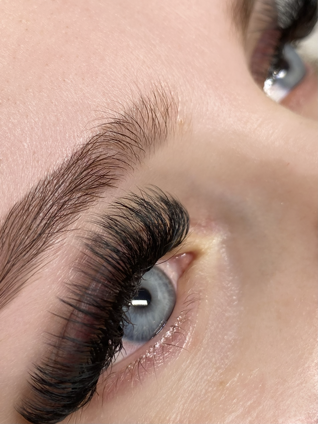 Blubella Lash Boutique | 1305 Burrard St, Vancouver, BC V6Z 1Z7, Canada | Phone: (778) 770-5372