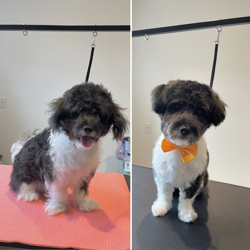 Cindy’s Place Small Dog Grooming | 20 Abbey Ln, Steinbach, MB R5G 2K2, Canada | Phone: (204) 380-3369