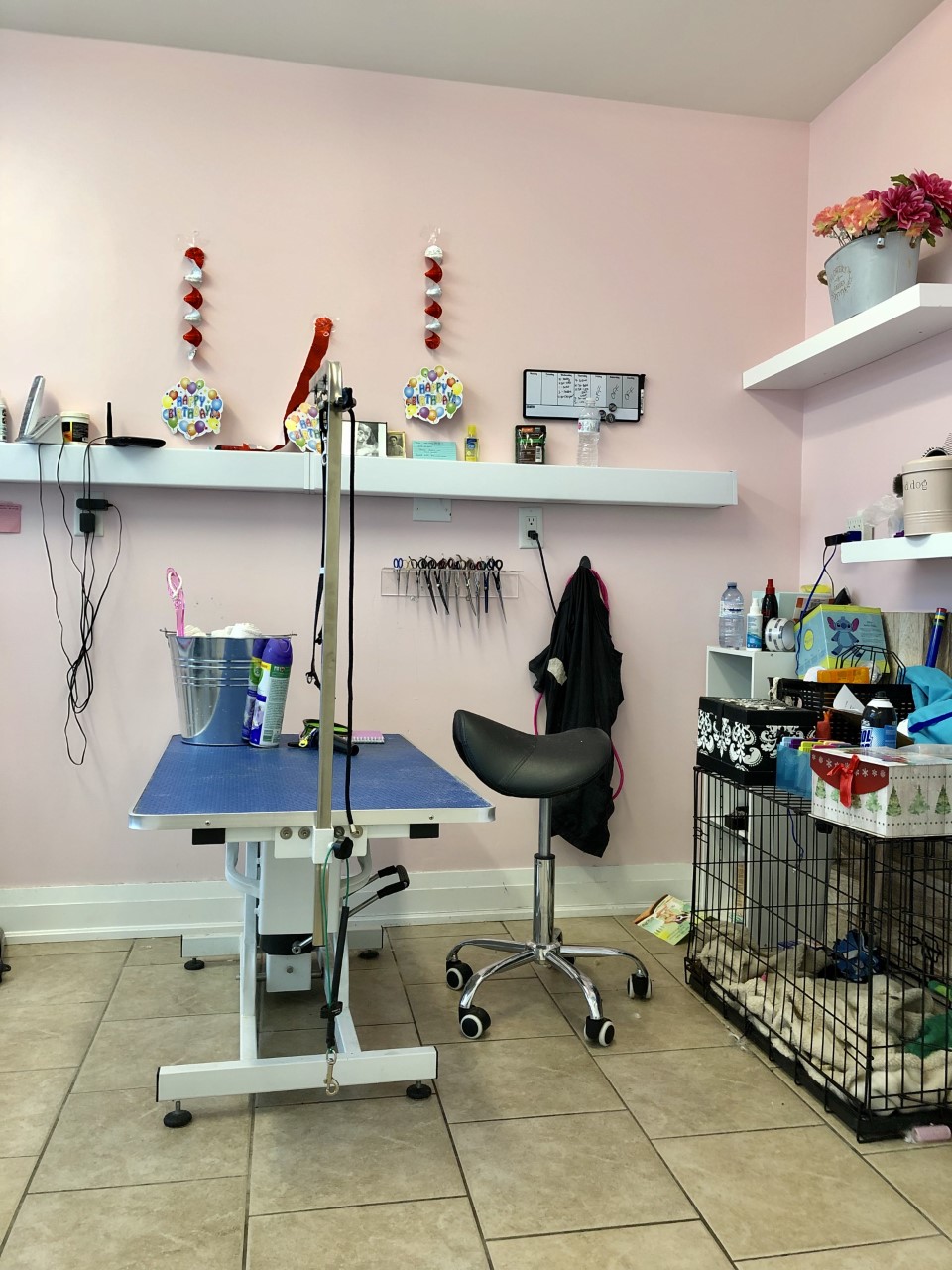 Bright Pets | 15 Chapel St, Bolton, ON L7E 1C2, Canada | Phone: (905) 951-6572