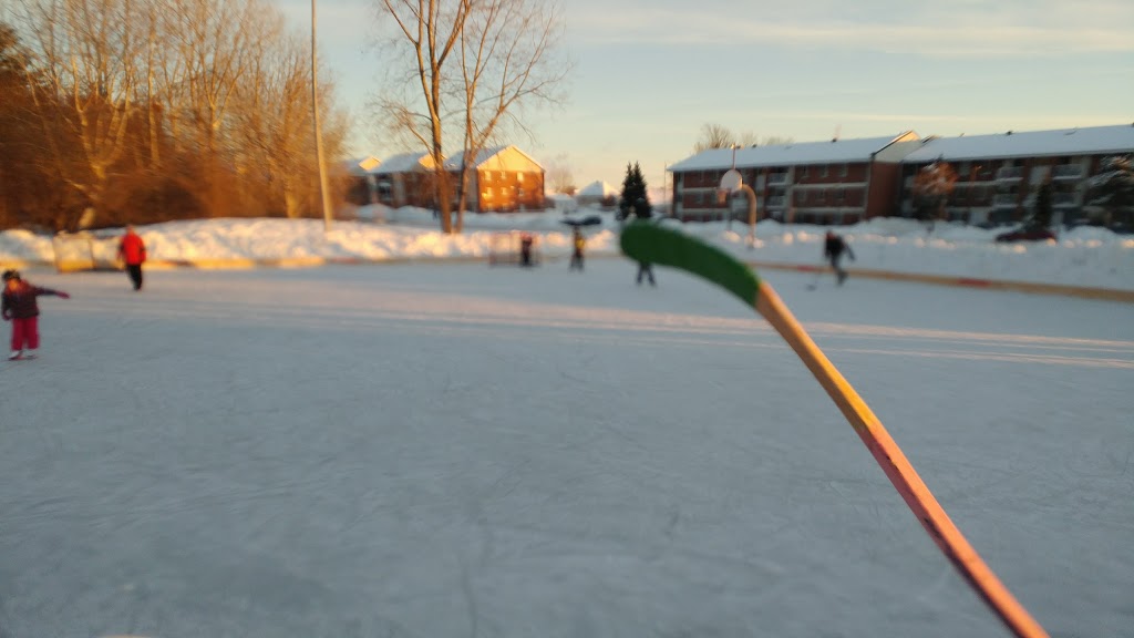 Parc Henri-Dunant | Boulevard du Mont-Royal, Gatineau, QC J8V 2N4, Canada | Phone: (866) 299-2002