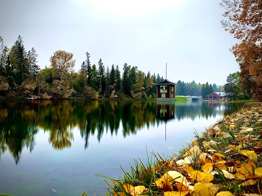 Bowness Park Mini Train | Bowness, Calgary, AB T3B 2B2, Canada | Phone: (403) 247-0683