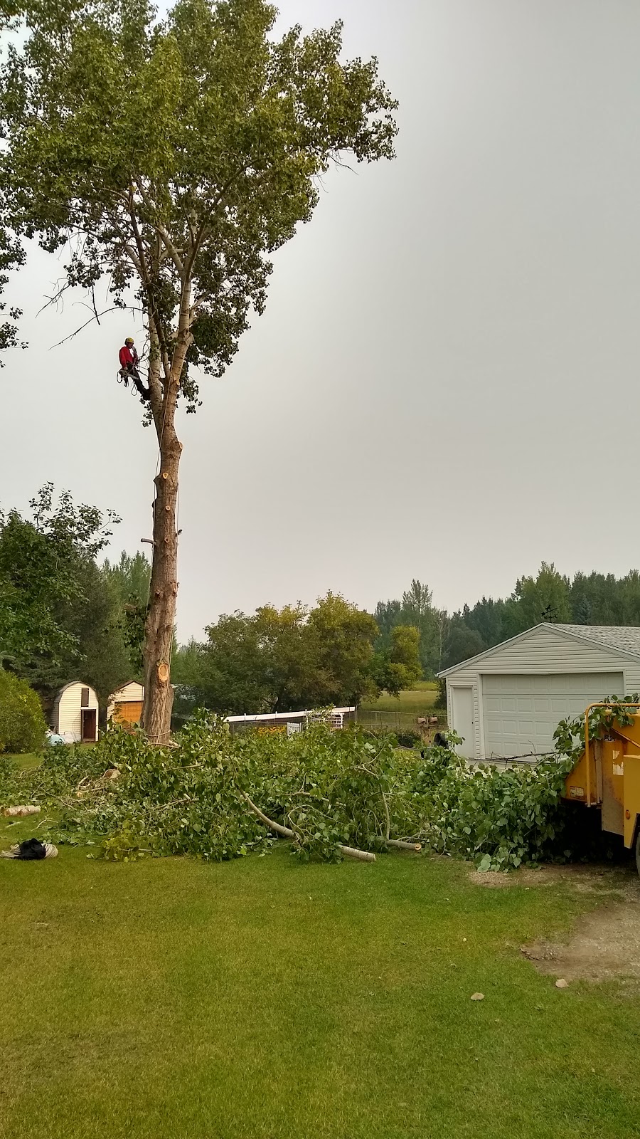 bp tree services | 535 34a St NW, Calgary, AB T2N 2Y6, Canada | Phone: (587) 581-4232