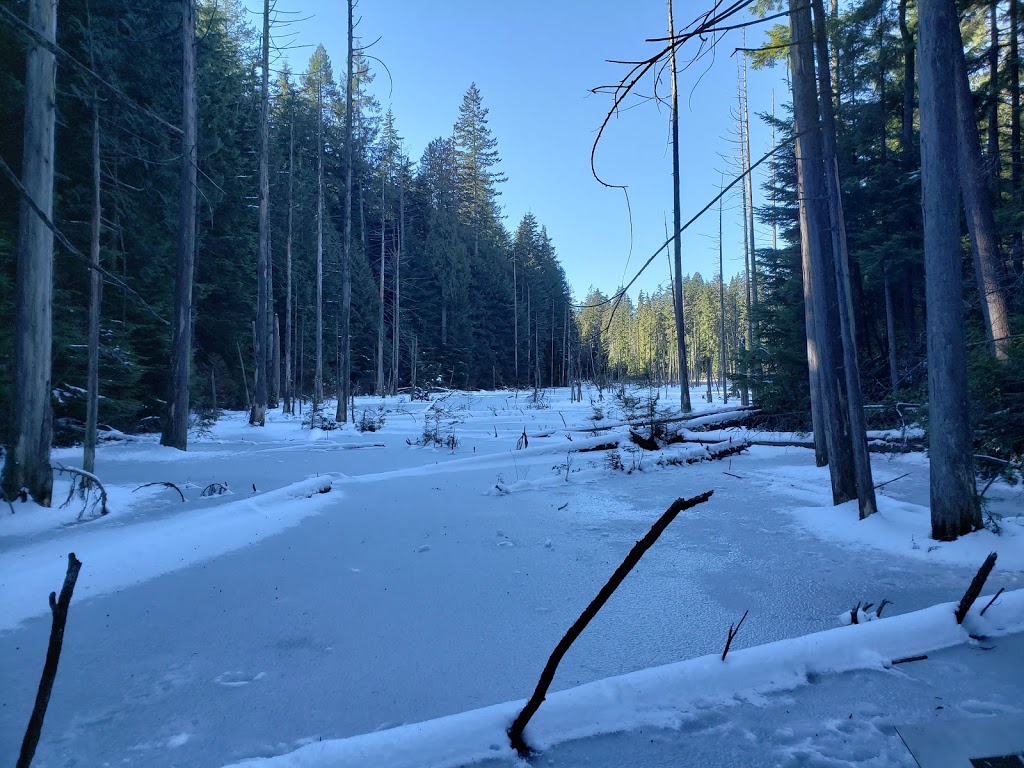 Woodhaven Swamp | Woodhaven, Belcarra, BC V3H 4R6, Canada