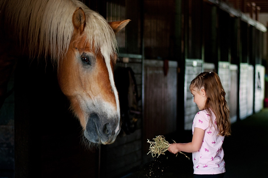 Ponies and Pipsqueaks | 6044 Oldfield Rd, Victoria, BC V9E 2J4, Canada | Phone: (250) 812-2008