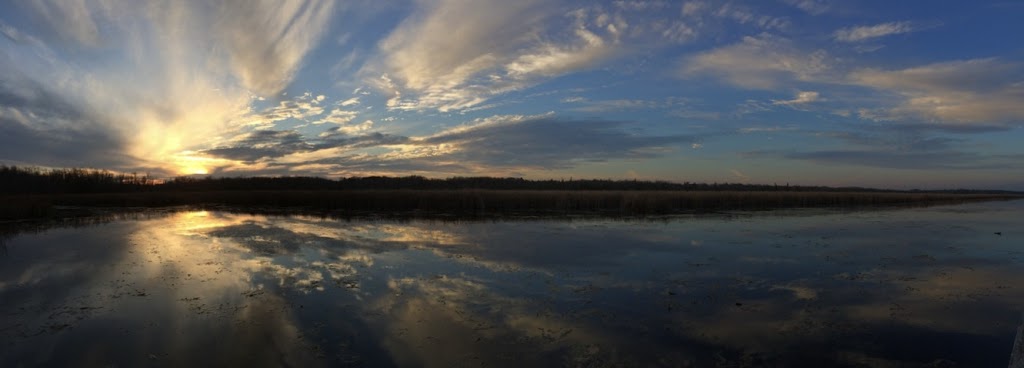 Imagine the Marsh Conservation Area | DEyncourt St, Lakefield, ON K0L 2H0, Canada | Phone: (705) 745-5791