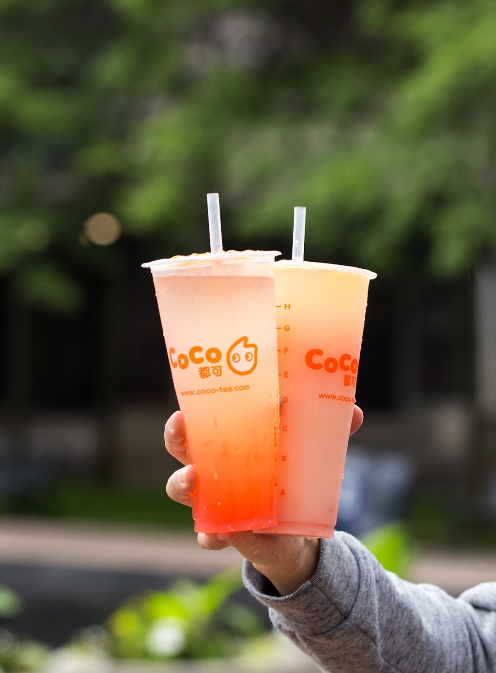 CoCo Fresh Tea & Juice | 50 Bur Oak Ave Unit 8, Markham, ON L6C 0A2, Canada | Phone: (905) 534-8867