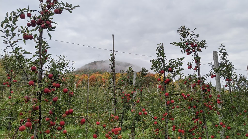 Les Domaines Roka | 2 Chemin du Sous-Bois, Mont-Saint-Grégoire, QC J0J 1K0, Canada | Phone: (514) 804-6450