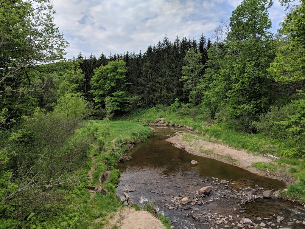 Gatineau Park Visitor Centre | 33 Chemin Scott, Chelsea, QC J9B 1R5, Canada | Phone: (819) 827-2020