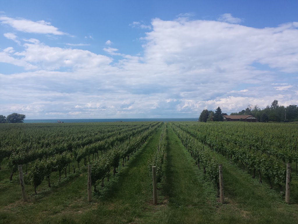 Niagara Wine Tour Guides | 1582 Niagara Stone Rd, Niagara-on-the-Lake, ON L0S 1J0, Canada | Phone: (855) 747-3463