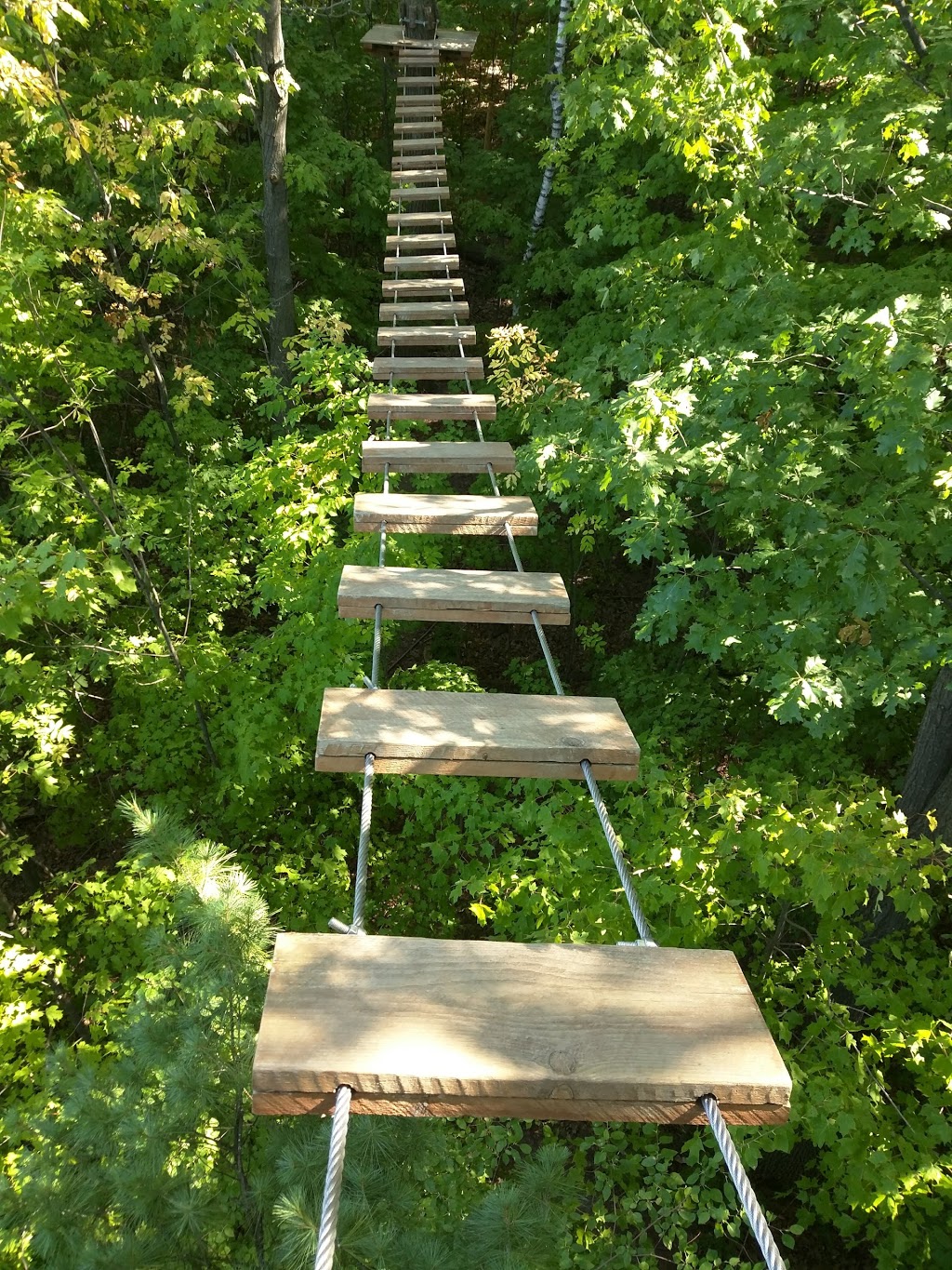 Treetop Trekking Brampton | 10818 Heart Lake Rd, Brampton, ON L6Z 0B3, Canada | Phone: (905) 970-0090