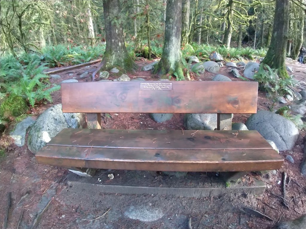 Lynn Canyon Bouldering Field | Lynn Valley Rd, North Vancouver, BC V7K 2T5, Canada