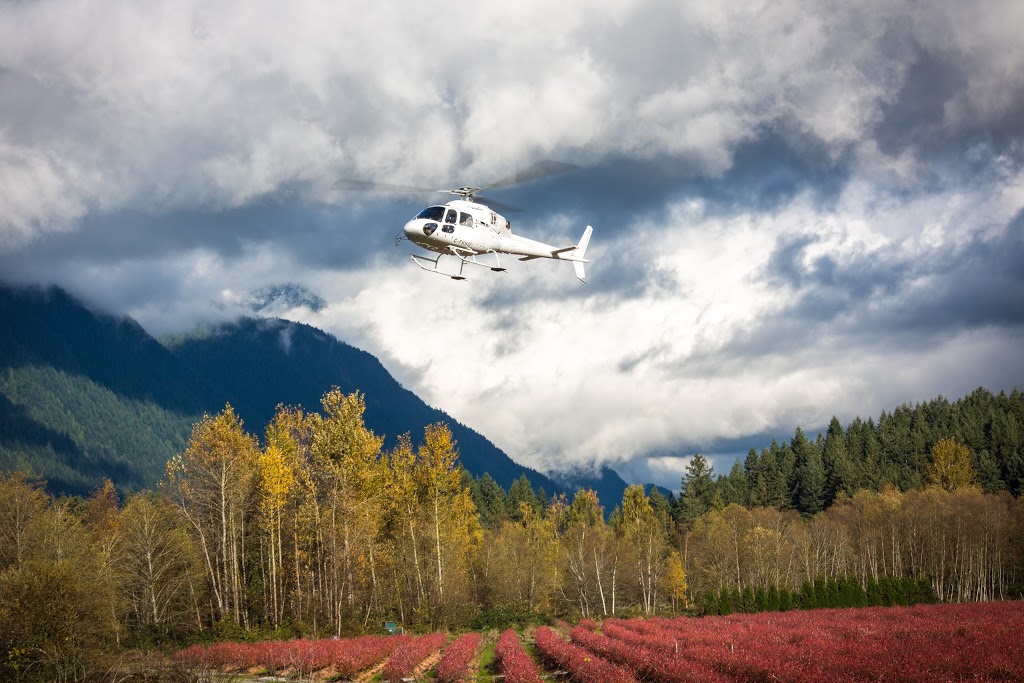 Heliproducts Industries Ltd | 350, 18799 Airport Way, Pitt Meadows, BC V3Y 2B4, Canada | Phone: (604) 465-5008