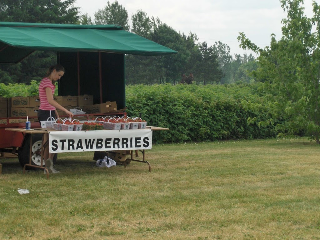 Ovens Berry Farm | 4205 Nixon Dr, Osgoode, ON K0A 2W0, Canada | Phone: (613) 324-8161