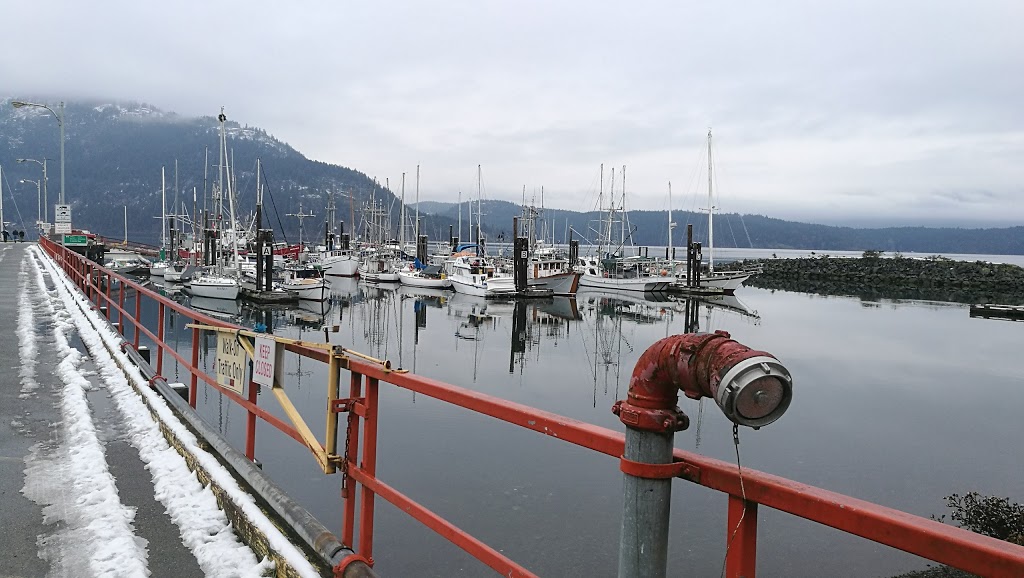 Ocean Ecoventures Whale Watching | 1721 Cowichan Bay Rd, Cowichan Bay, BC V0R 1N0, Canada | Phone: (250) 748-3800