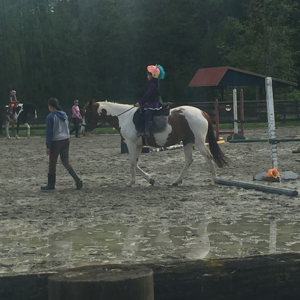 Sacred Equestrians | 22603 64 Ave, Langley City, BC V2Y 2N8, Canada | Phone: (778) 549-2585