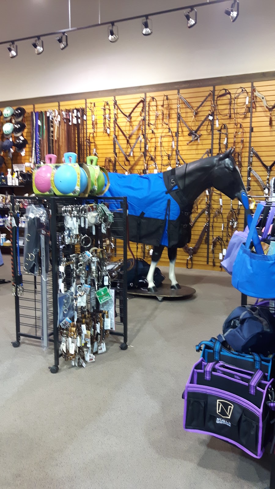 Lammles Western Wear & Tack | 2525 36 St NE Unit 292, Calgary, AB T1Y 5T4, Canada | Phone: (587) 472-4843