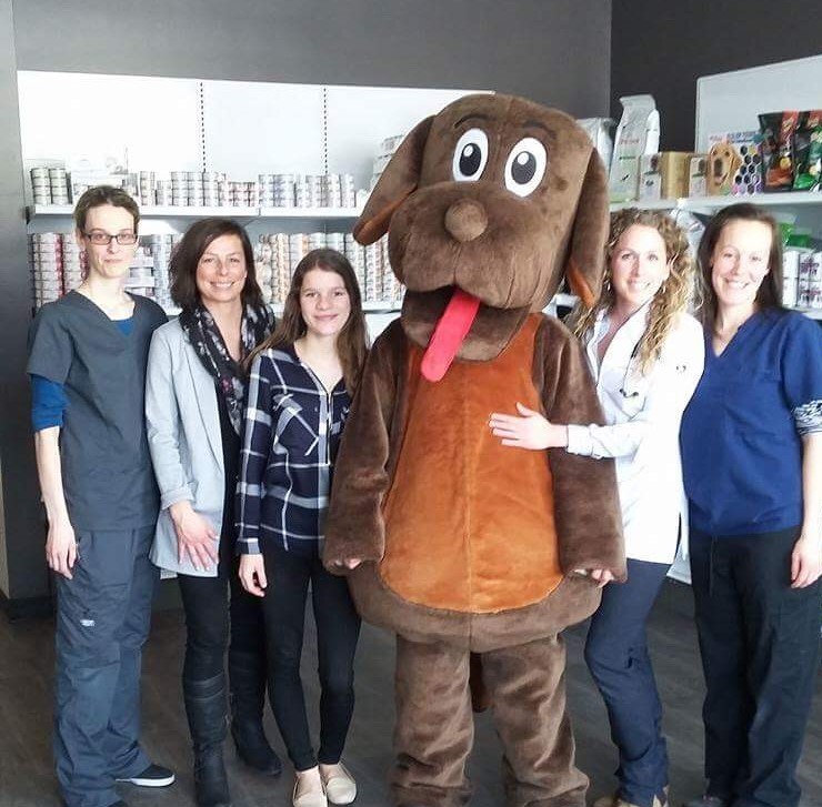 Clinique Vétérinaire Animalia | 273 Boulevard Sir-Wilfrid-Laurier, Mont-Saint-Hilaire, QC J3H 3N8, Canada | Phone: (450) 339-4539