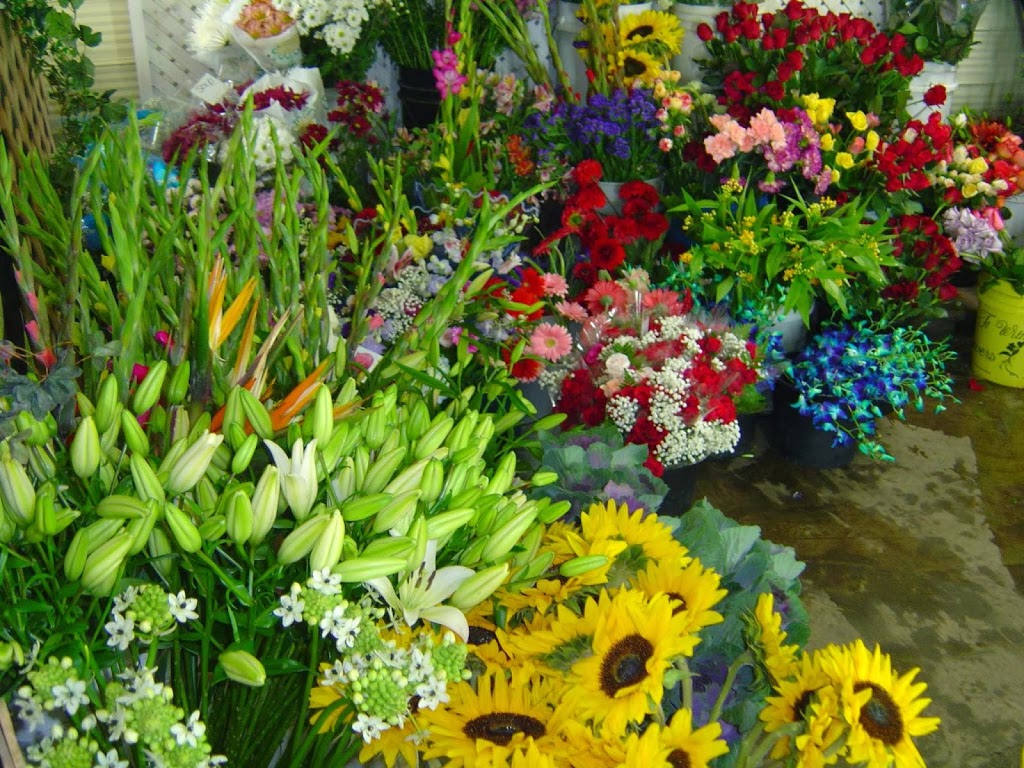 Freys Flowers Ltd. | 19 First St E, Elmira, ON N3B 2E6, Canada | Phone: (519) 669-8511